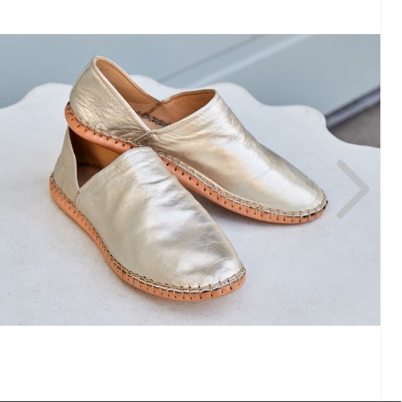 Beek Skylark Platinum NEW WITHOUT BOX. - Picture 3 of 8